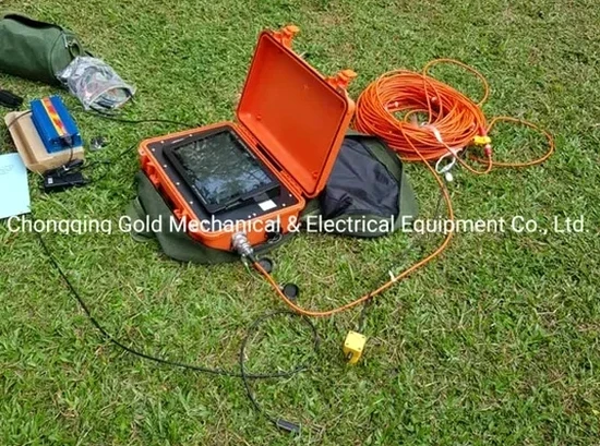 Seismic in Sheffield